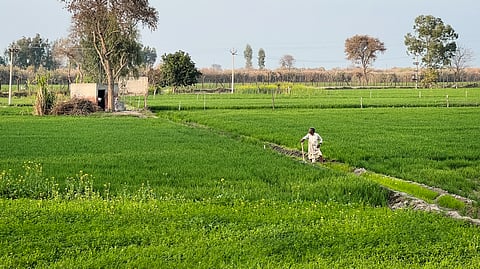 The last farm of India